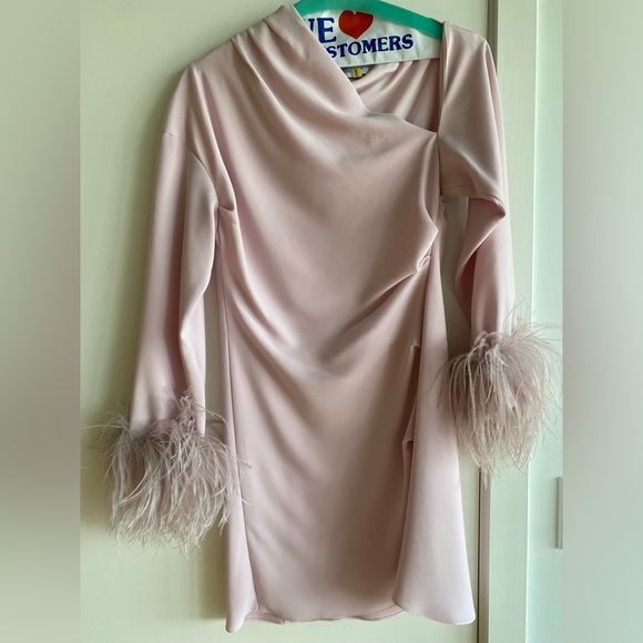 16ARLINGTON Feather-Trim Adelaide Mini Dress - Picture 3 of 10